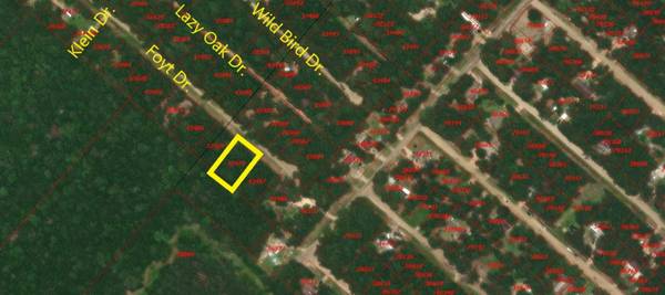TBD Foyt DR, Livingston, TX 77351