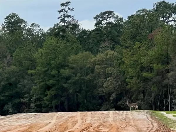 New Waverly, TX 77358,108 Summit DR