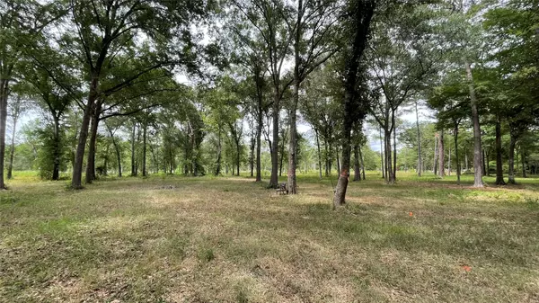 Hockley, TX 77447,0000 Roberts Cemetery RD