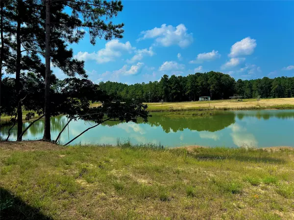 Colmesneil, TX 75938,000 County Road 3400