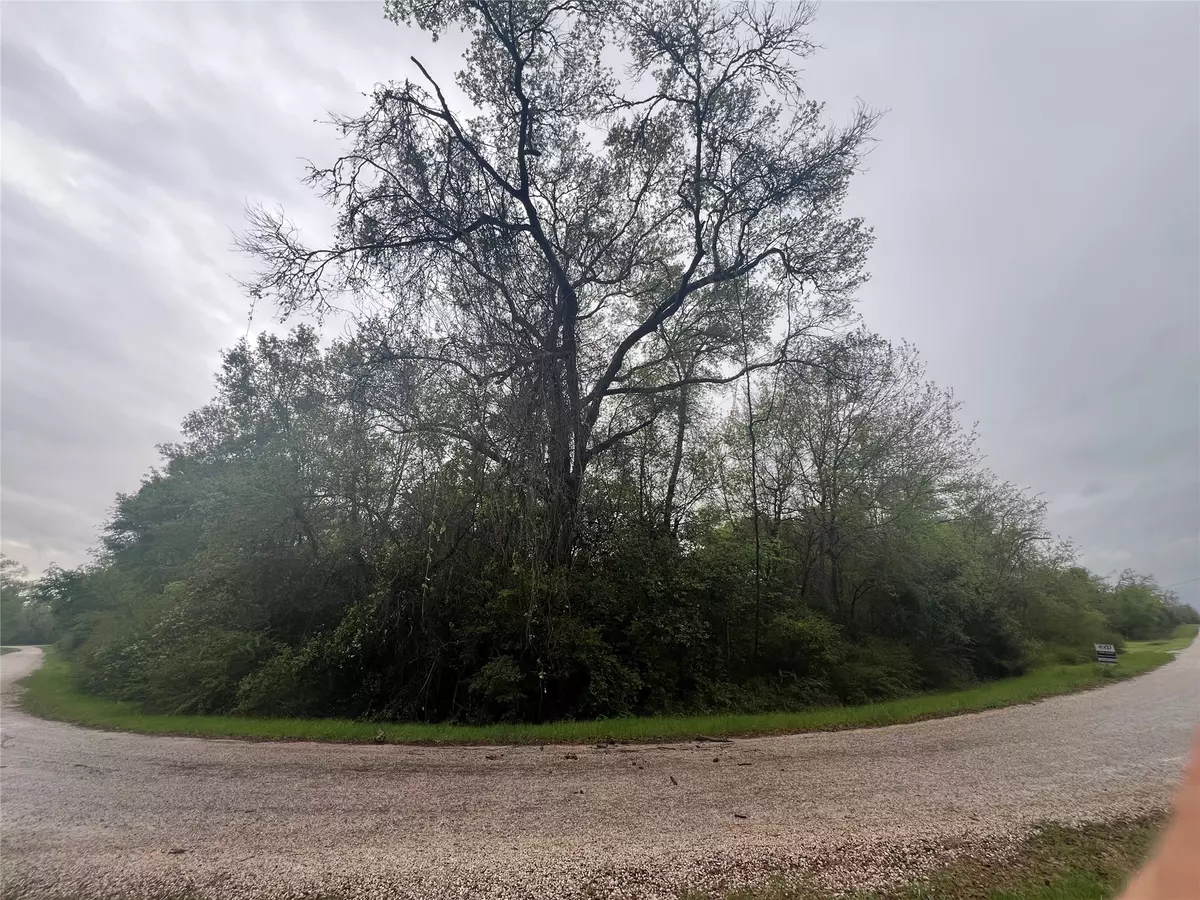 Somerville, TX 77836,TBD Overlook RD