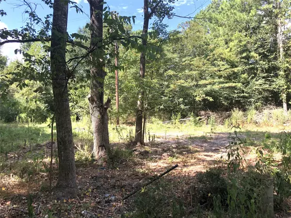 Tract 3.1 Sylvia TRL, Coldspring, TX 77331