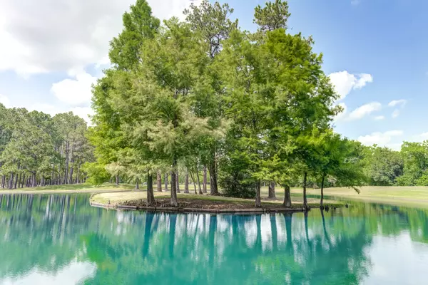 Crosby, TX 77532,17018 Miller Wilson RD