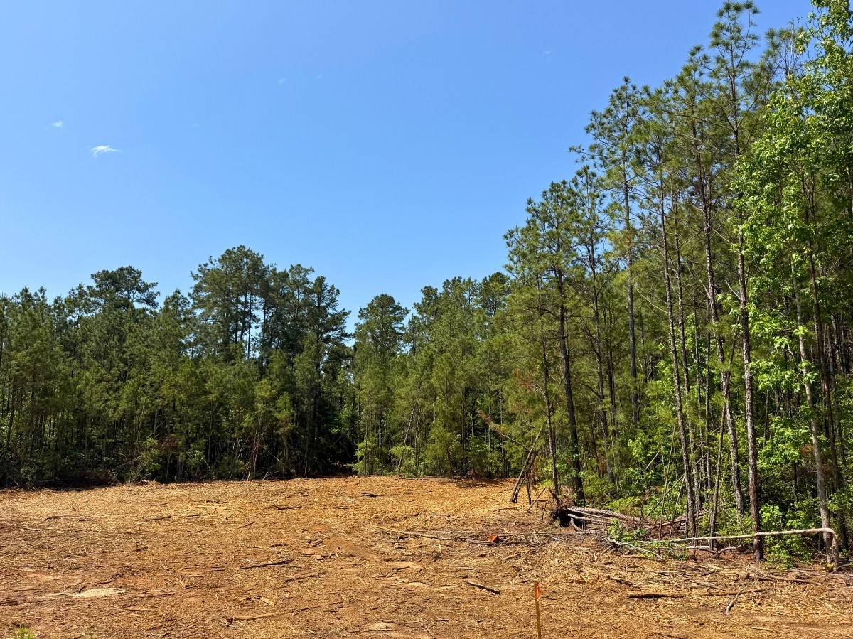 Livingston, TX 77351,4 Camp Ruby Road