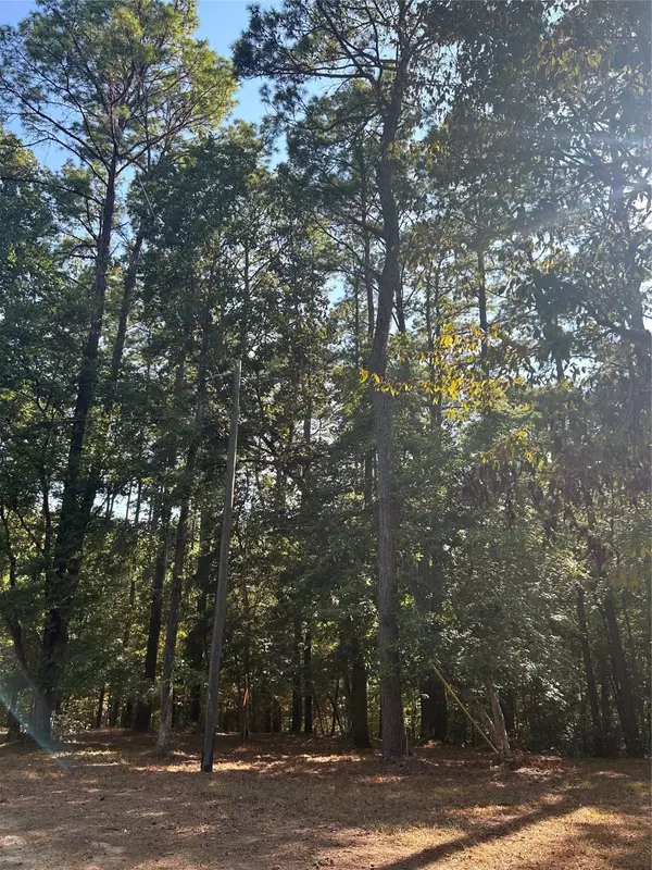 Livingston, TX 77351,TBD Weepee DR