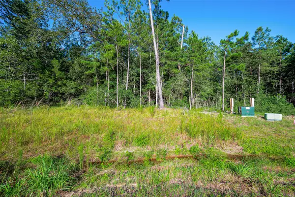 Willis, TX 77378,102 Eagle Run RD