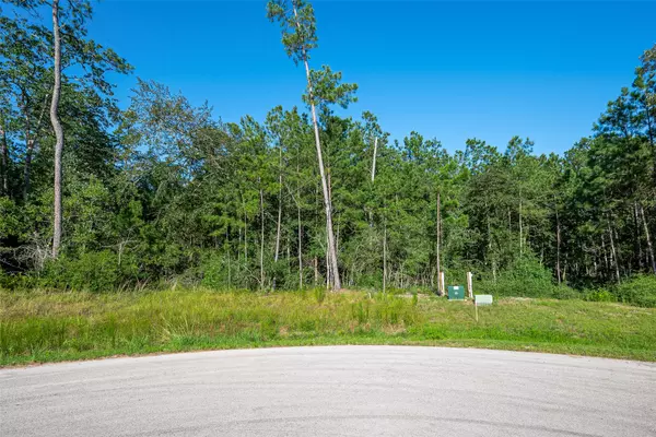 Willis, TX 77378,102 Eagle Run RD