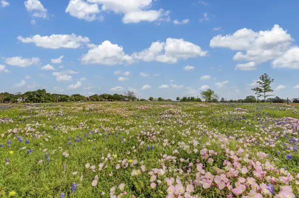 Round Top, TX 78954,400 E Mill Street
