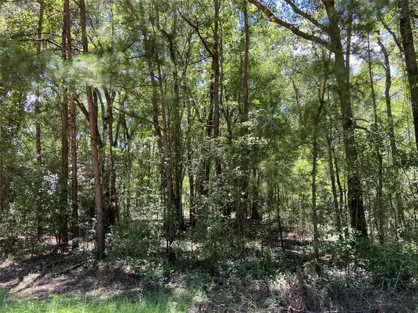 TBD County Road 2145,  Cleveland,  TX 77327