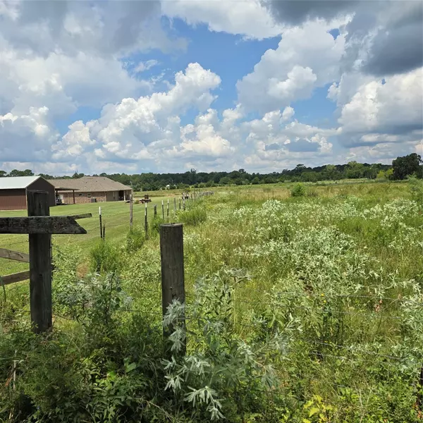 Coldspring, TX 77331,TBD Tract 2 Padgett Rd