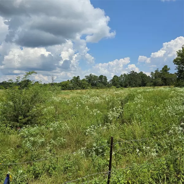 Coldspring, TX 77331,TBD Tract 2 Padgett Rd