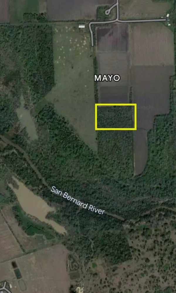 Wallis, TX 77485,00 MayoLot2 RD