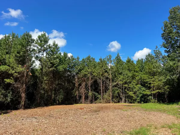 1 Eugene Walker Road, Huntington, TX 75980