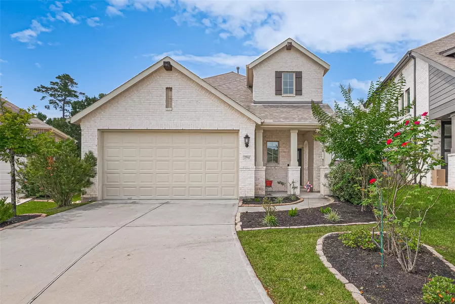 254 Aster View CT, Montgomery, TX 77316