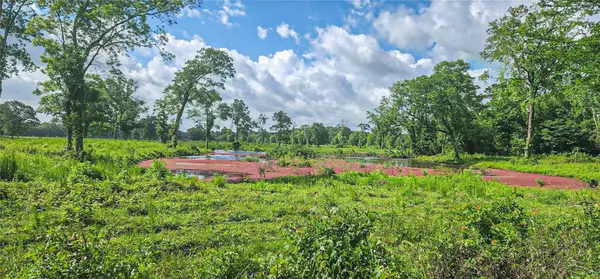Livingston, TX 77351,000 Tinney RD