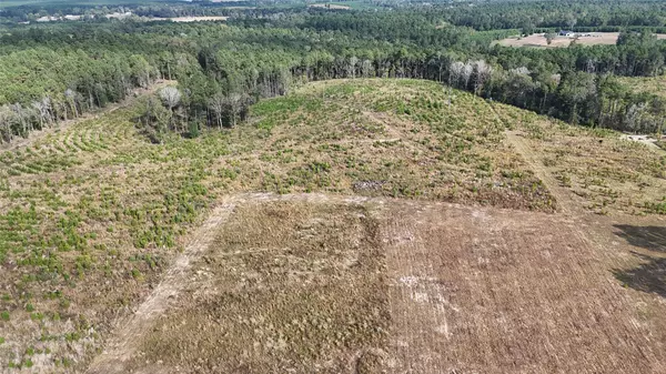 Livingston, TX 77351,TBD 3 Young Road