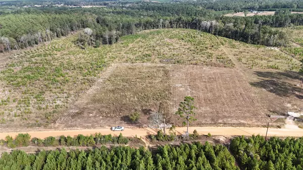 Livingston, TX 77351,TBD 3 Young Road