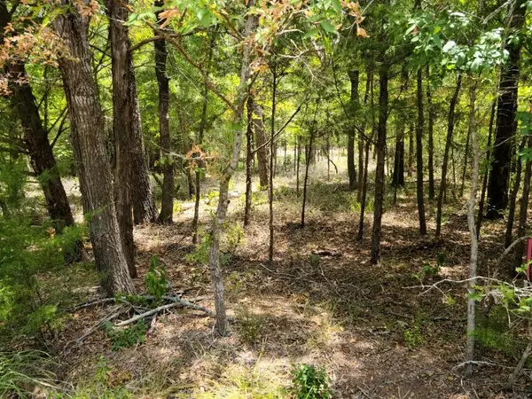 Somerville, TX 77879,322 Oak Forest RD