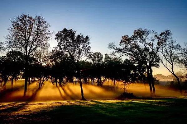 Washington, TX 77880,8321 Equestrian LN