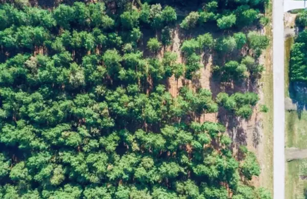 Bronson, TX 75930,553 Private Road 8356