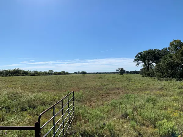 Normangee, TX 77871,133 ac Hwy 39