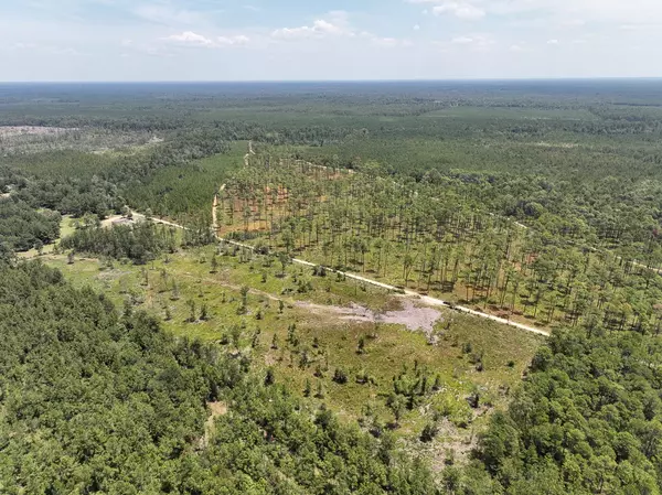 Kirbyville, TX 75933,1 Private Road 7129