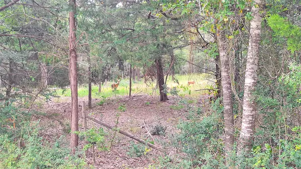 Caldwell, TX 77836,1014 Beaver Lake DR