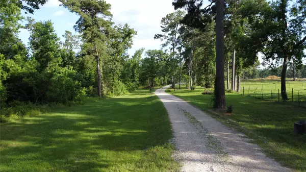 856 Hwy 150, New Waverly, TX 77358