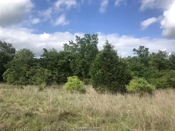 Franklin, TX 77856,4430 Hampshire Lane