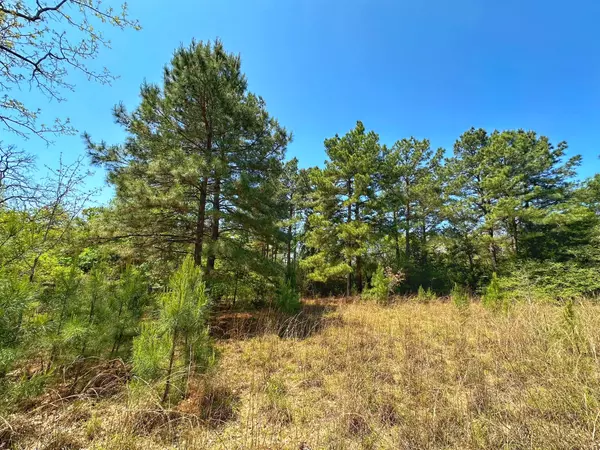 Centerville, TX 75833,8 ac CR 1464