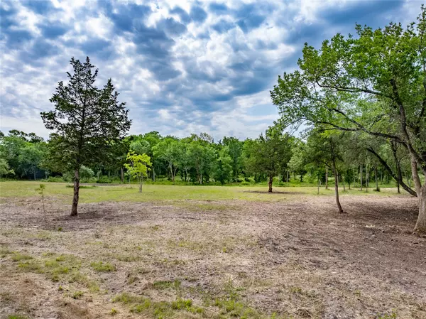 Washington, TX 77880,TBD Schwartz RD
