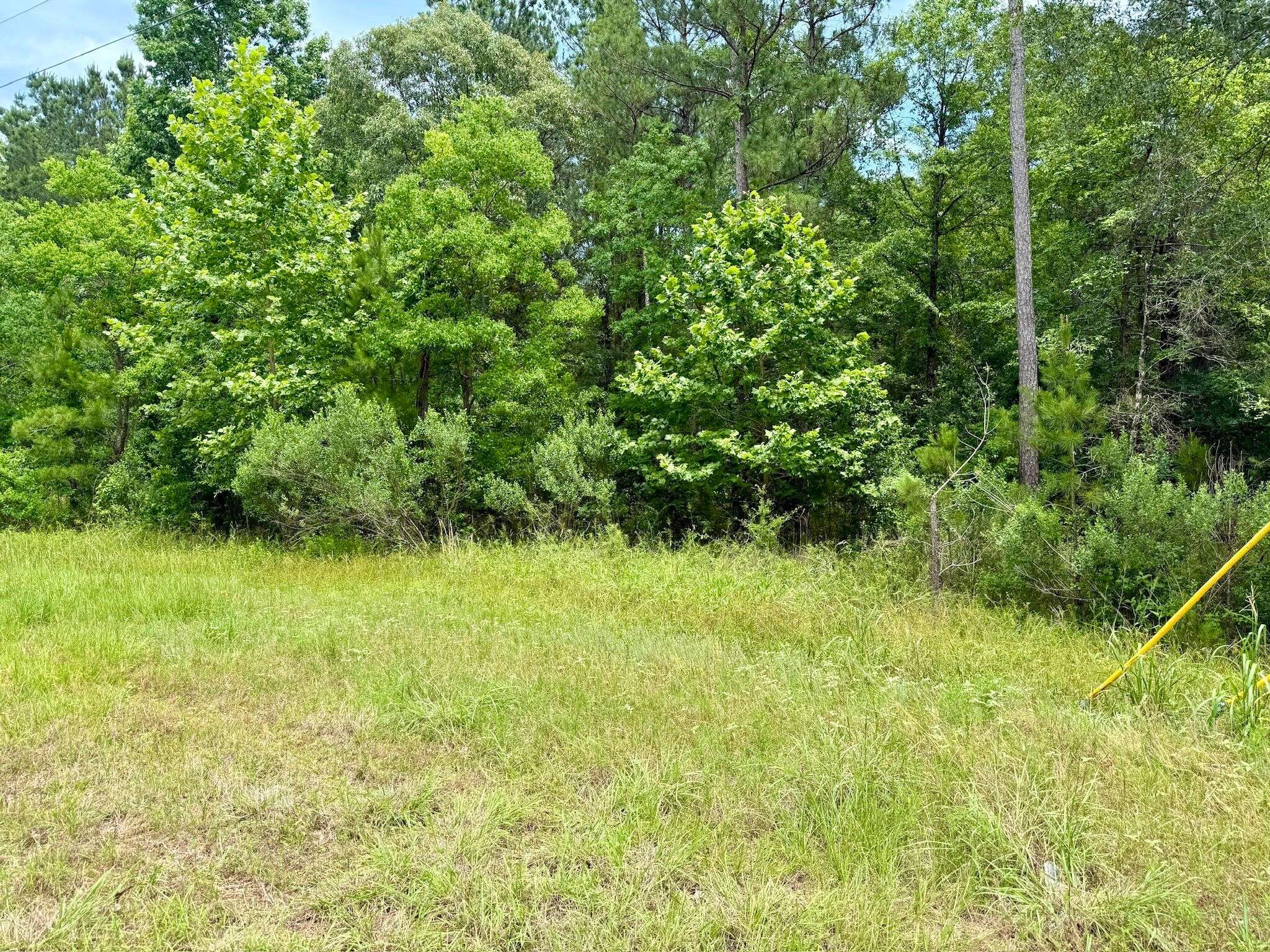 Huntsville, TX 77340,0 Dedication TRL