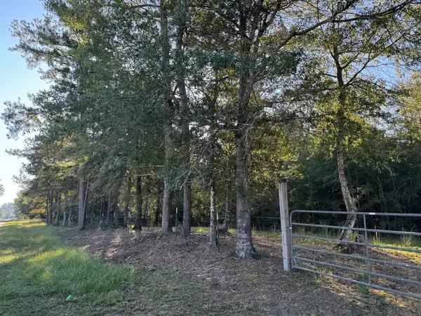Warren, TX 77664,TBD County Road 4770