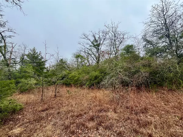 Normangee, TX 77871,60Acres TBD CR 417