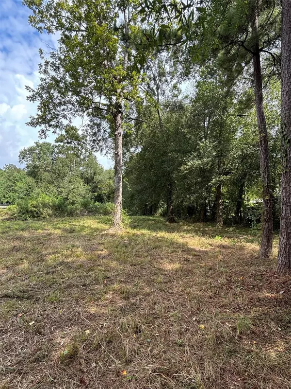 Splendora, TX 77372,27275 Diamond T