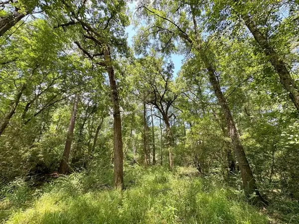 Magnolia, TX 77355,25930 GRAND PINES