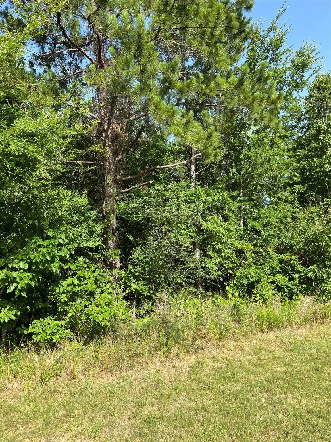 Onalaska, TX 77360,TBD N North FM356