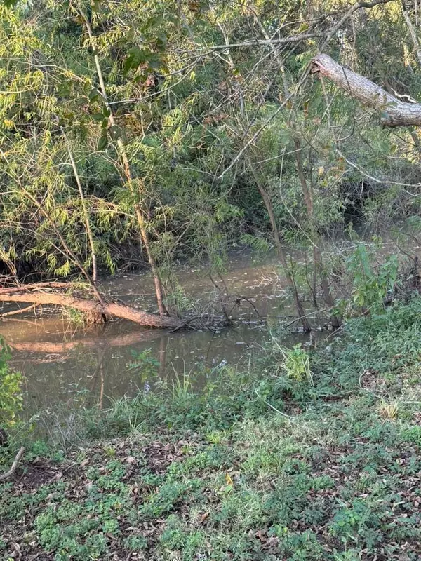 Rosharon, TX 77583,16318 Deerhaven RUN