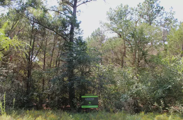 Hempstead, TX 77445,0 Falcon Lane