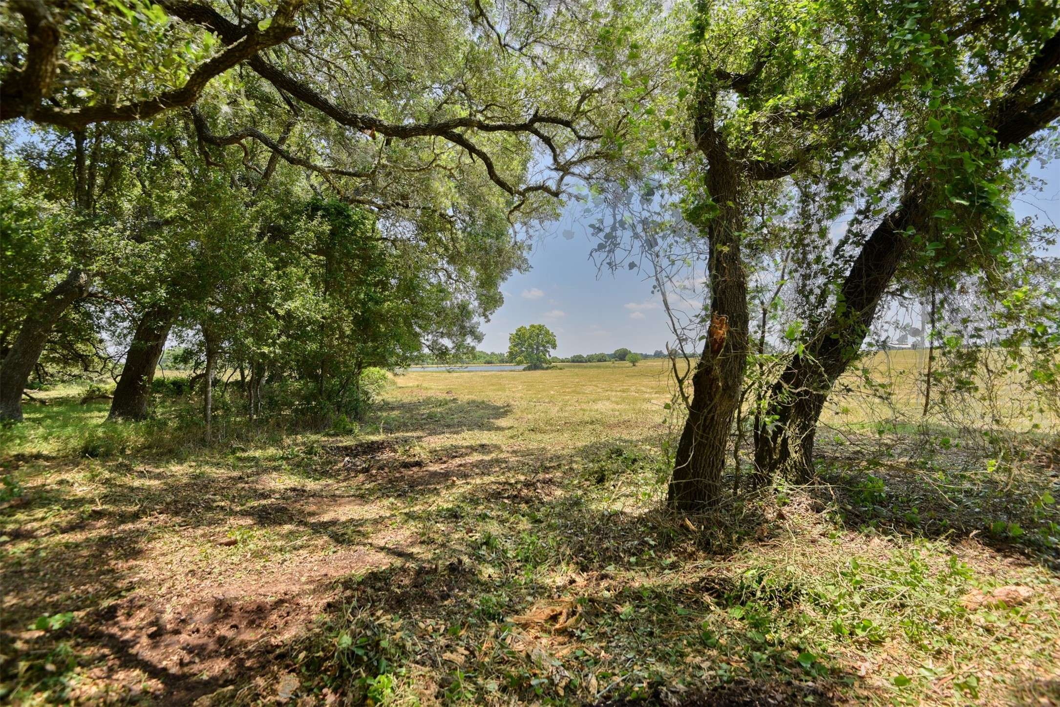 TBD Hartfield Tract 7 Rd, Round Top, TX 78954