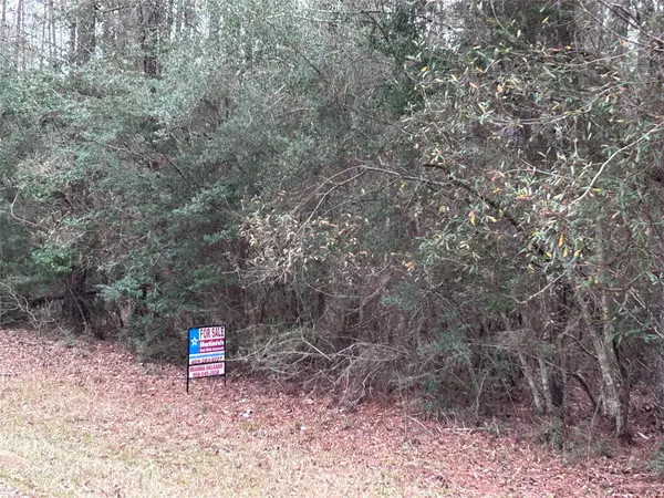 Village Mills, TX 77663,LOT 5 Jacaranda