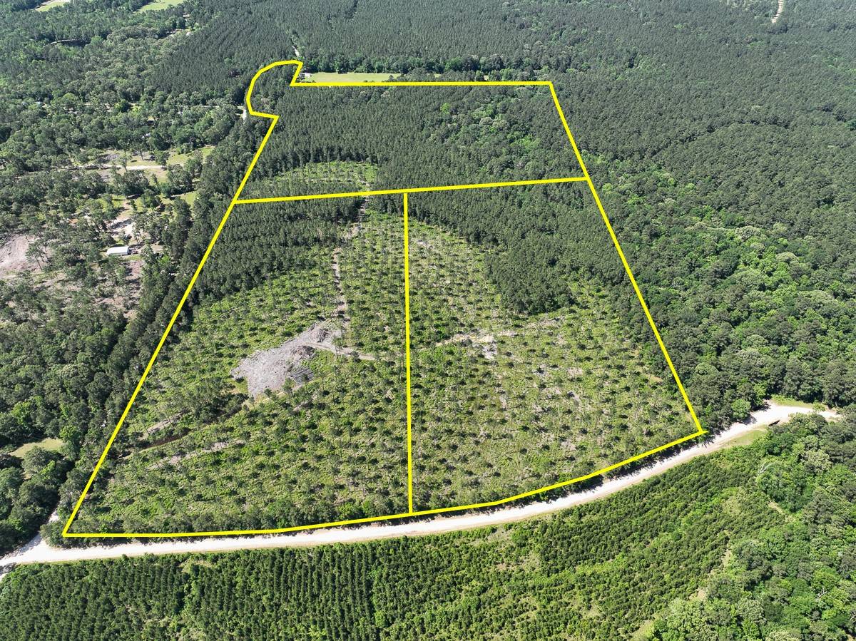 37 Groveton Flat Prairie Rd, Groveton, TX 75854