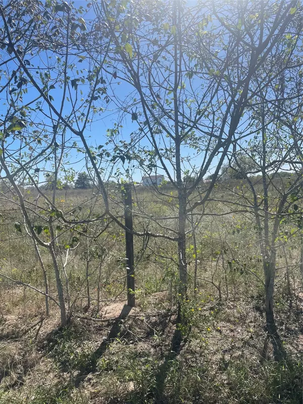 Pattison, TX 77423,40600 Mt Zion RD