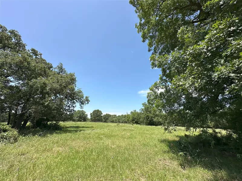 8110 N HWY 77, Lexington, TX 78947