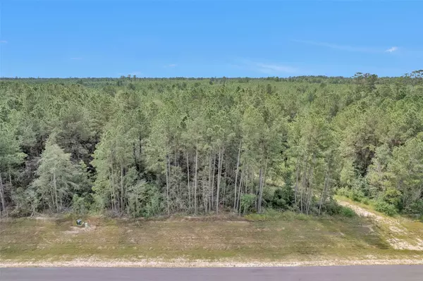 Willis, TX 77378,11976 Highbranch WAY