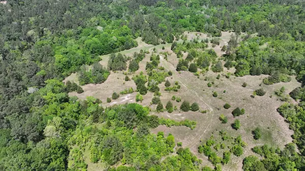 Point Blank, TX 77364,P#4 - TBD US-190