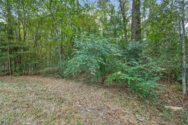 Cleveland, TX 77328,Lot 410 North Woods