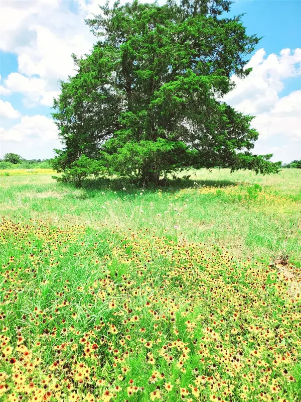 Waelder, TX 78959,1825 Armstrong-Derry RD