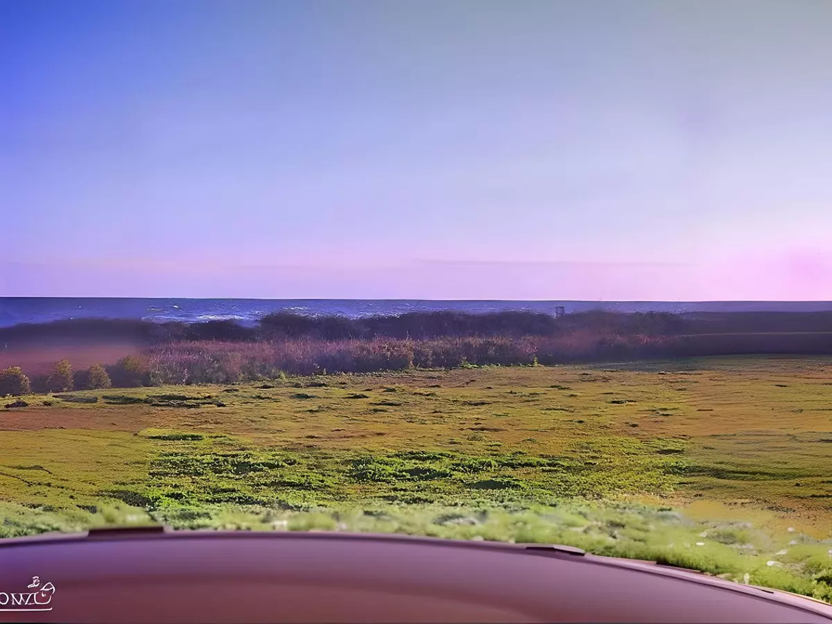 Gilchrist, TX 77617,440 Seagrass