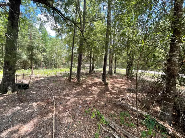 Shepherd, TX 77371,00 Maple LN